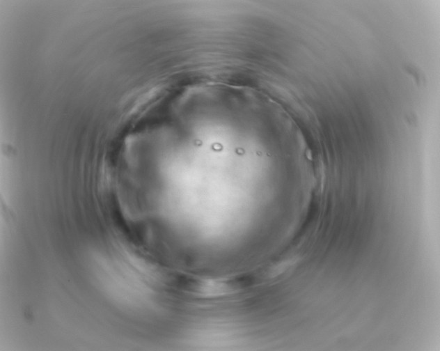 X0000090890623200708101403