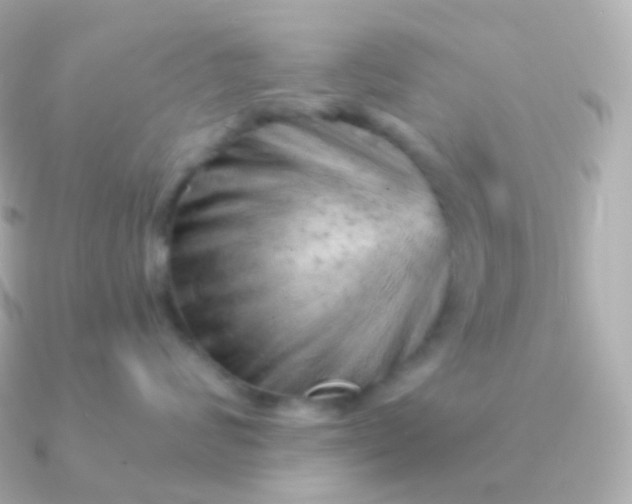 X0000090890624200708101403