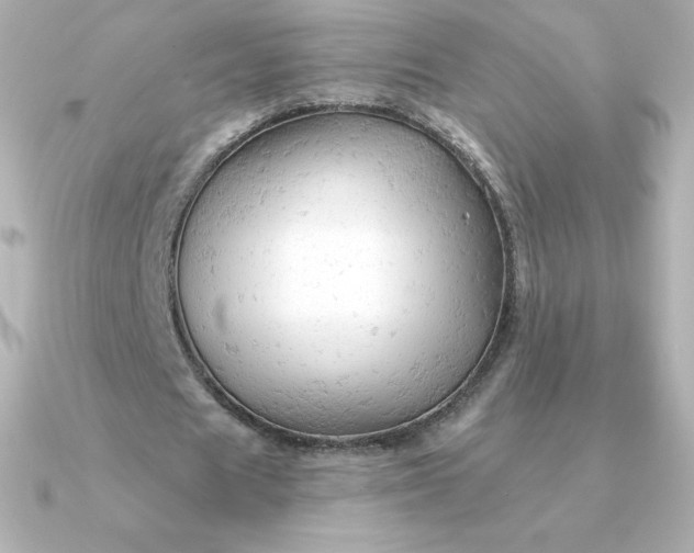 X0000090890625200708101403