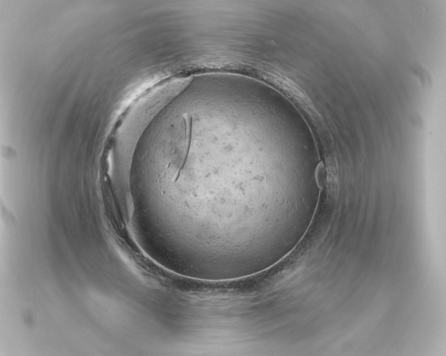 X0000090890626200708101403