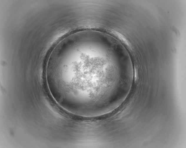 X0000090890627200708101403