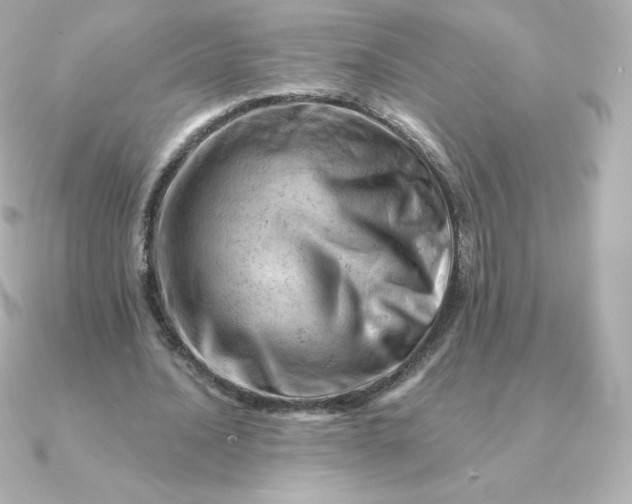 X0000090890628200708101403