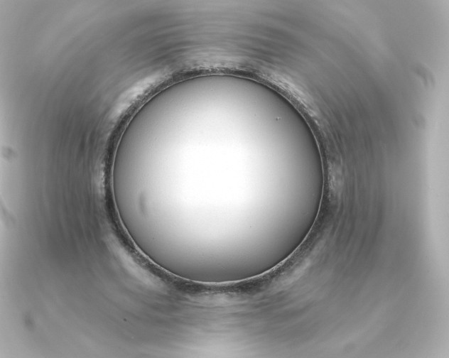 X0000090890629200708101403