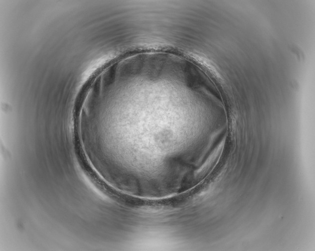 X0000090890630200708101403