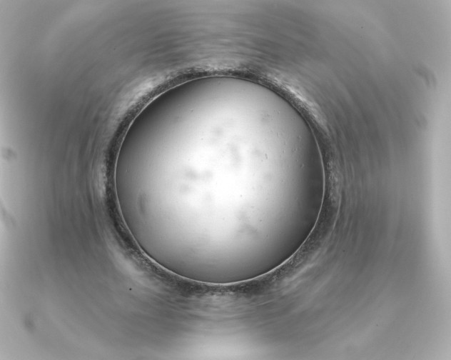 X0000090890631200708101403