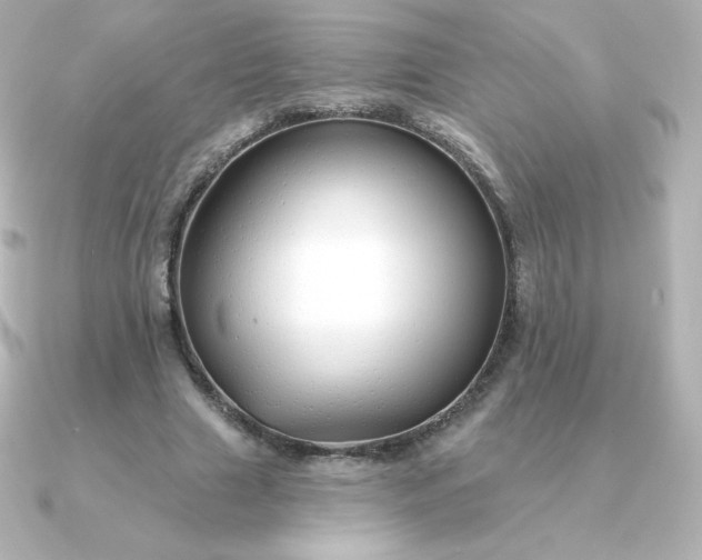 X0000090890633200708101403