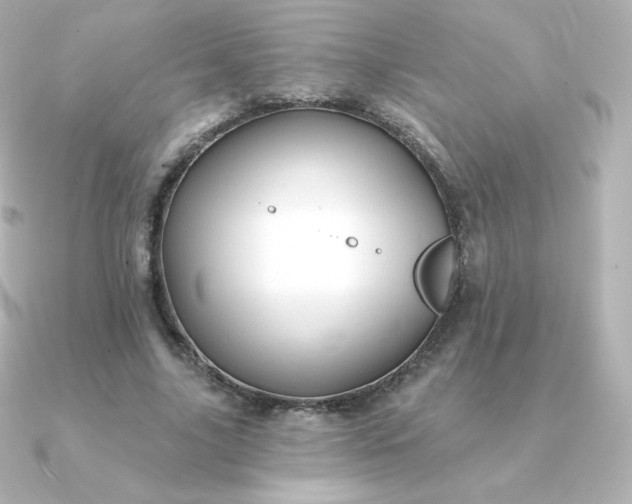 X0000090890635200708101403