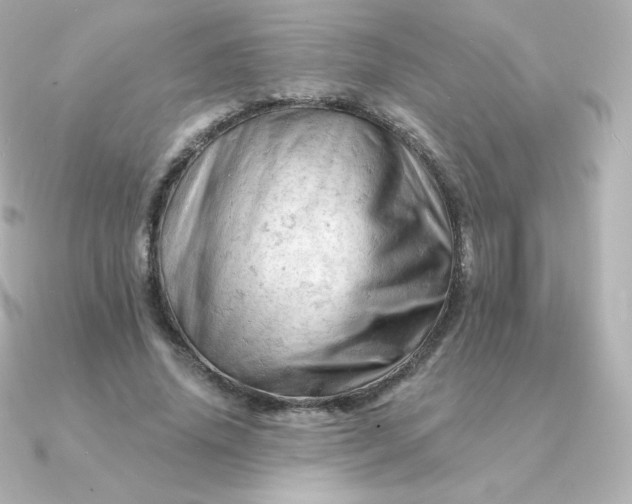 X0000090890636200708101403