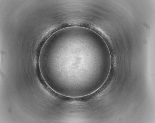 X0000090890637200708101403