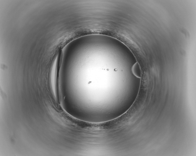 X0000090890639200708101403