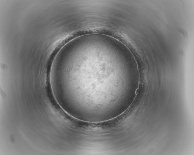 X0000090890640200708101403