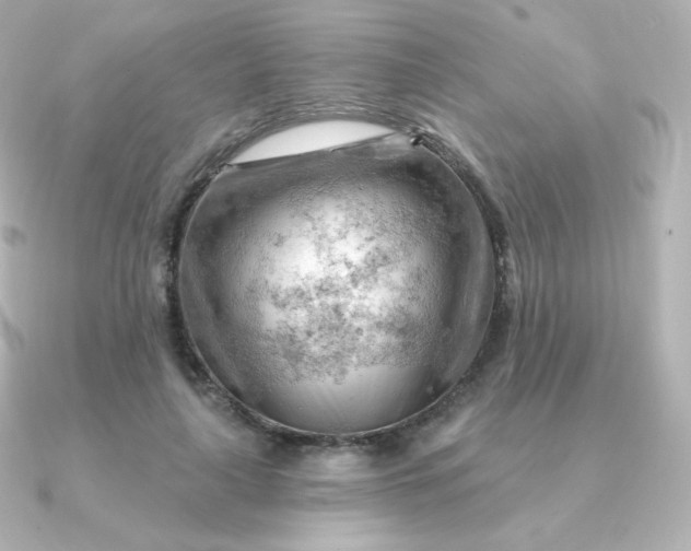 X0000090890643200708101403