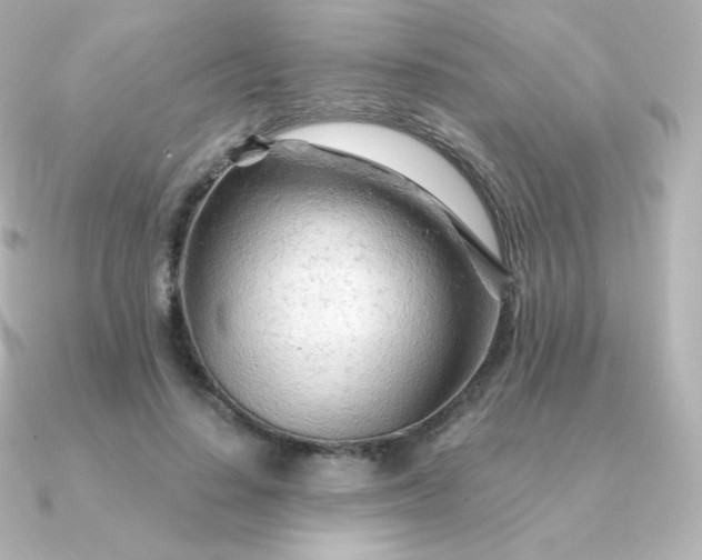 X0000090890644200708101403