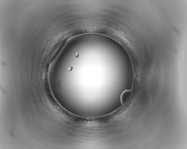 X0000090890645200708101403