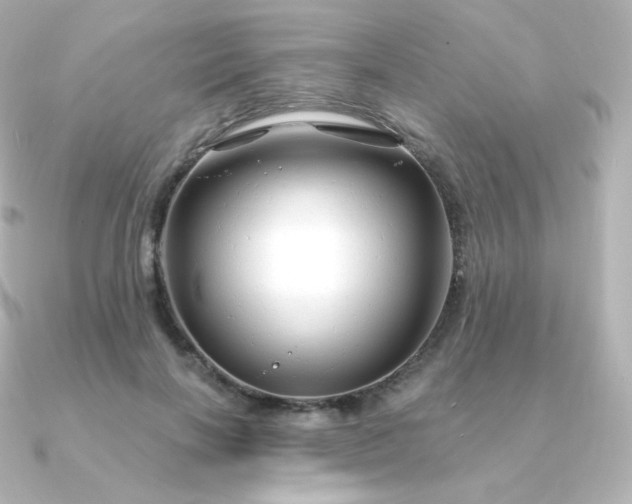 X0000090890646200708101403