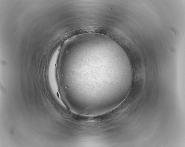 X0000090890647200708101403