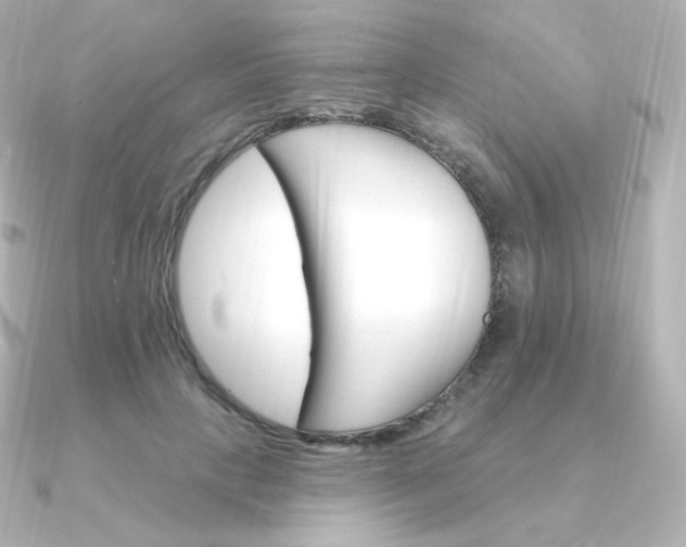 X0000090890649200708101403