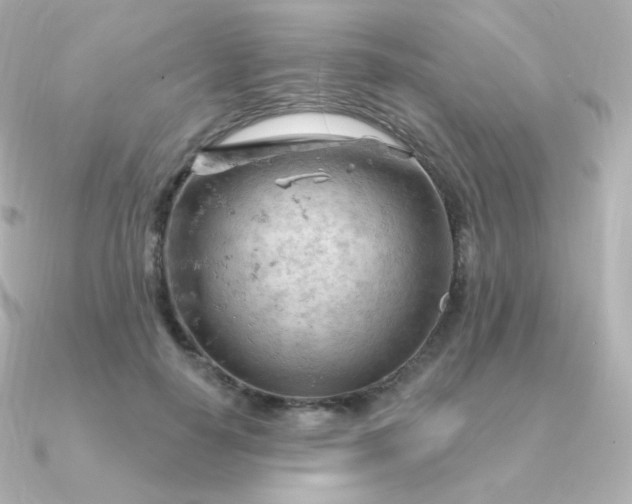 X0000090890650200708101403