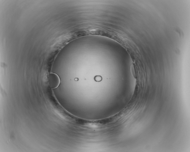 X0000090890654200708101403