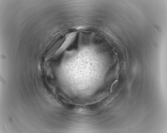 X0000090890655200708101403