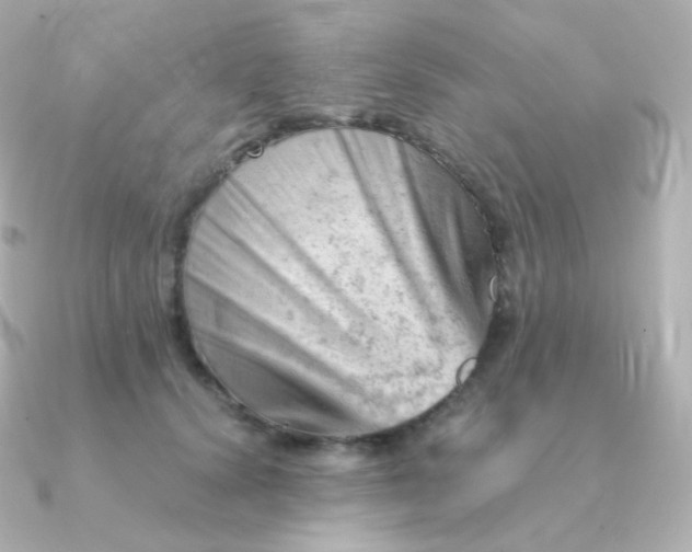 X0000090890656200708101403