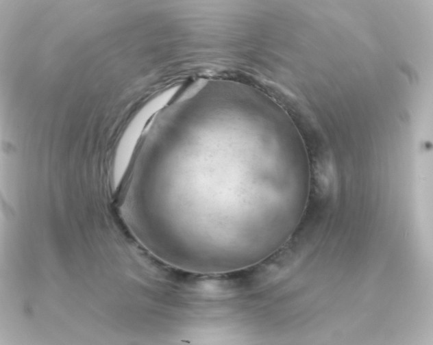 X0000090890657200708101403