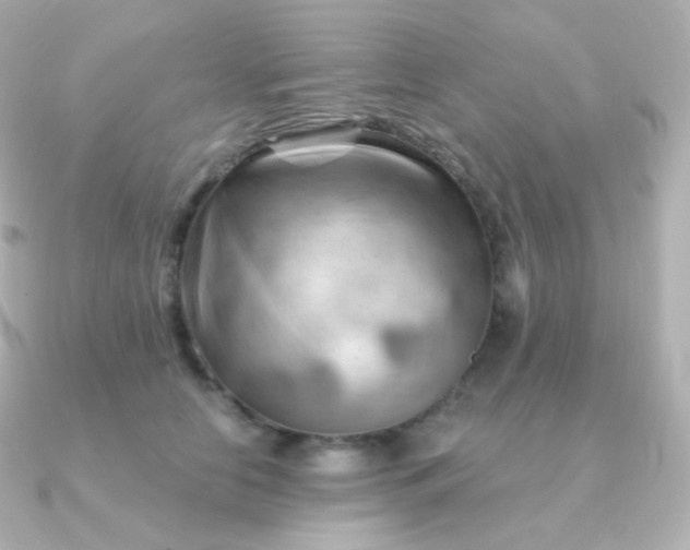 X0000090890658200708101403