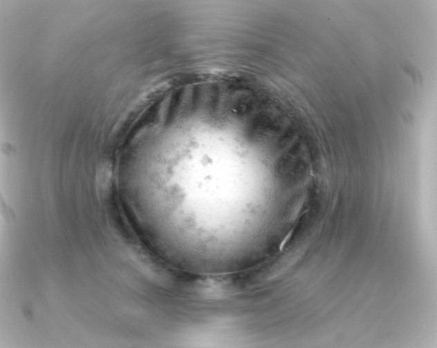 X0000090890660200708101403