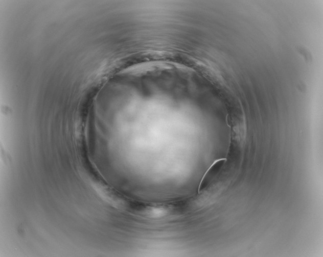 X0000090890662200708101403