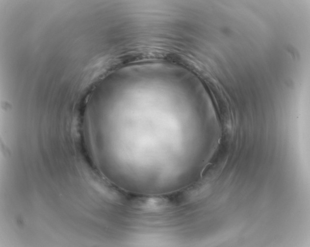 X0000090890663200708101403