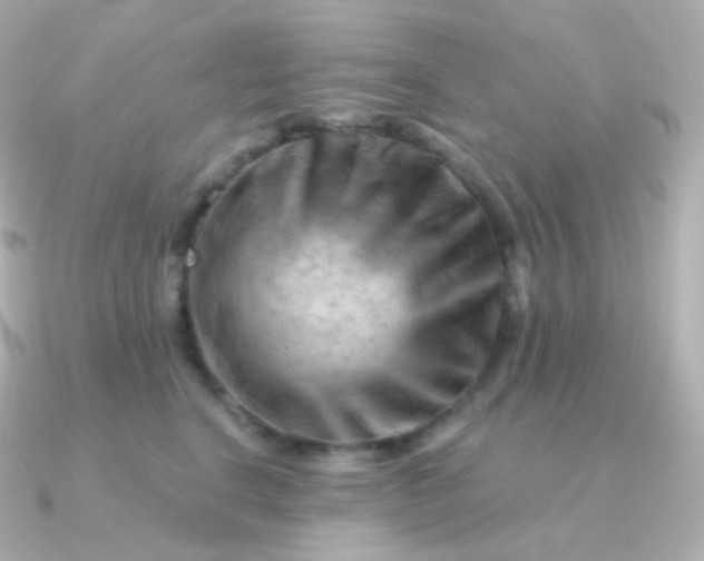 X0000090890664200708101403