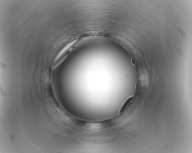 X0000090890665200708101403