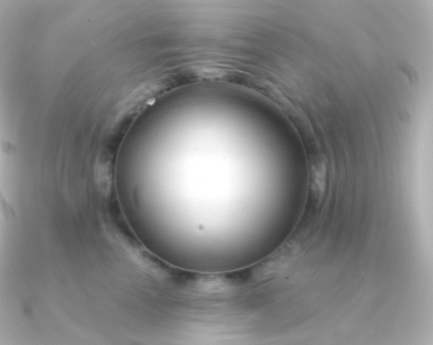 X0000090890666200708101403