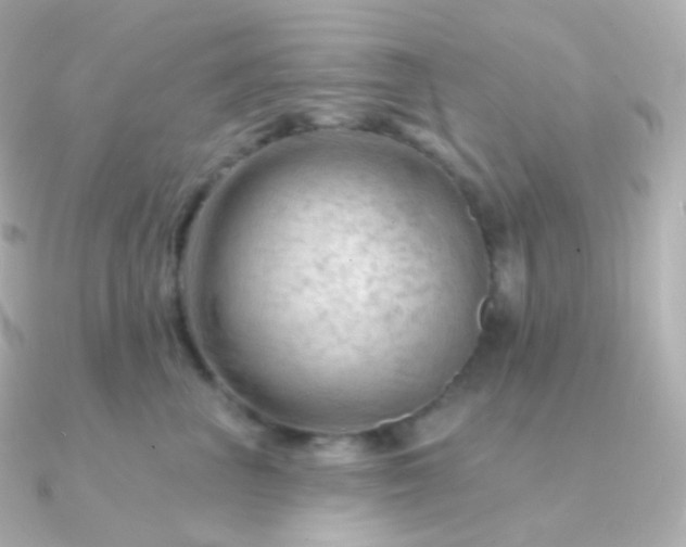 X0000090890667200708101403