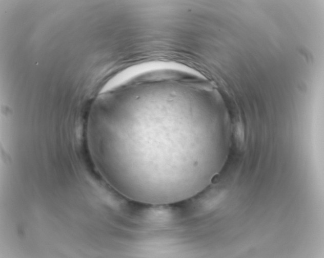 X0000090890668200708101403