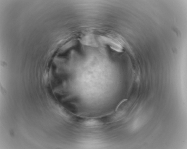 X0000090890669200708101403