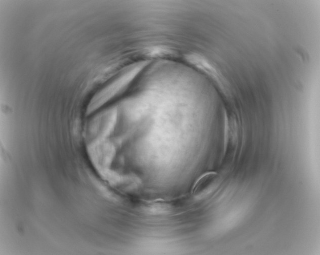 X0000090890670200708101403