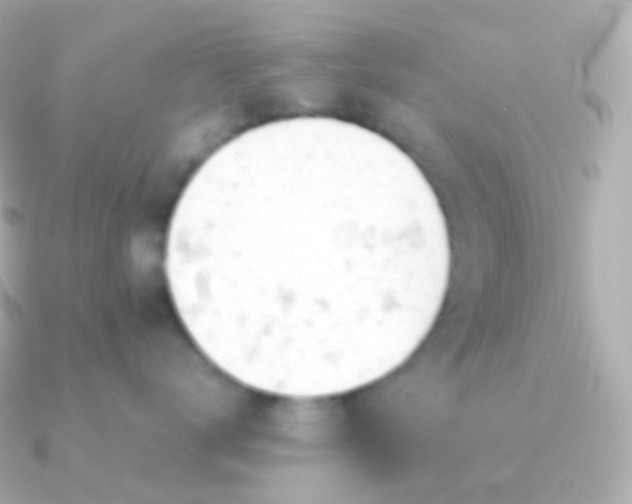 X0000090890672200708101403