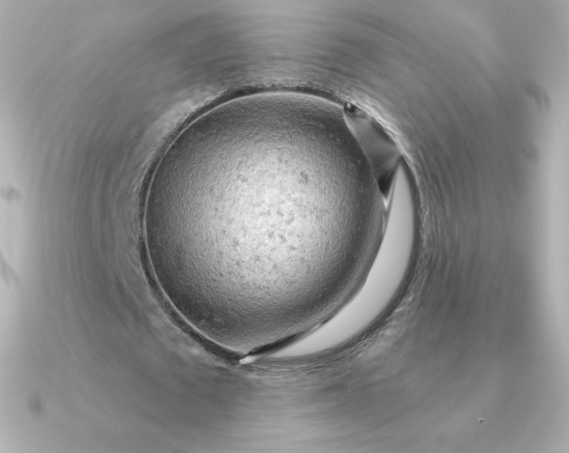 X0000090890673200708101403