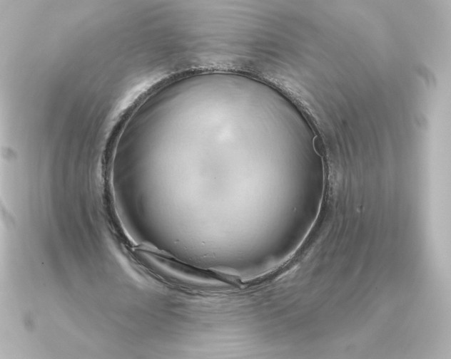 X0000090890674200708101403