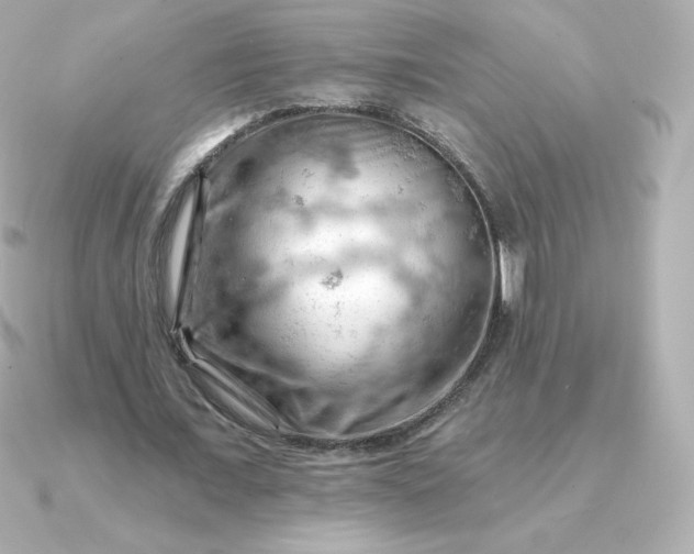 X0000090890675200708101403