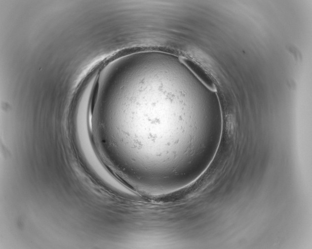 X0000090890676200708101403