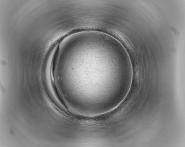 X0000090890677200708101403