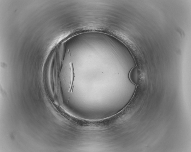 X0000090890678200708101403