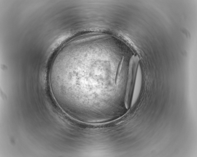 X0000090890679200708101403