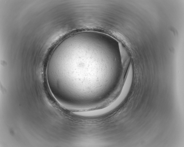 X0000090890680200708101403