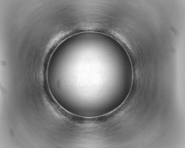 X0000090890682200708101403