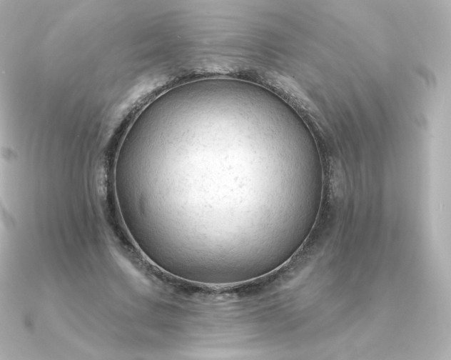 X0000090890683200708101403