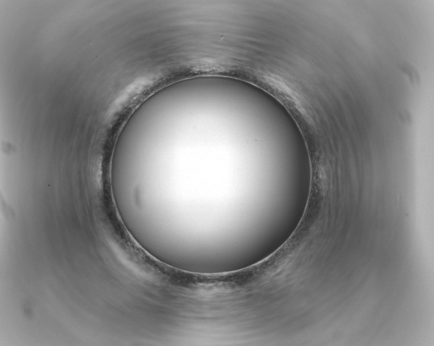 X0000090890686200708101403