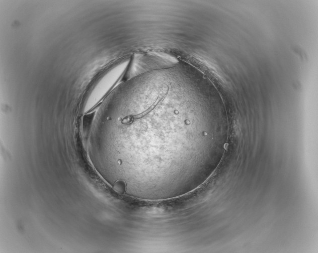 X0000090890687200708101403